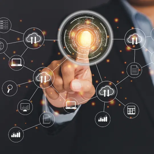 learning management systems