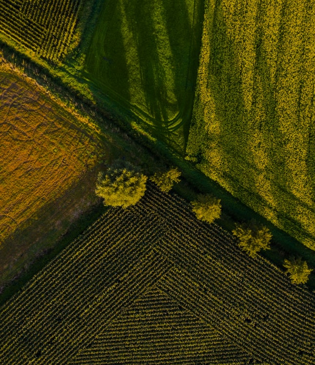 Delivered-an-end-to-end-data-management-system-that-enabled-the-client-to-make-smart-agricultural-decisions-min